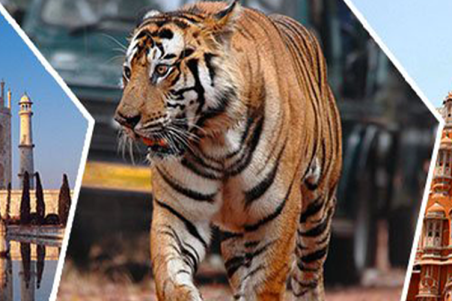Golden Triangle With Ranthambore -7 Nights & 8 Days