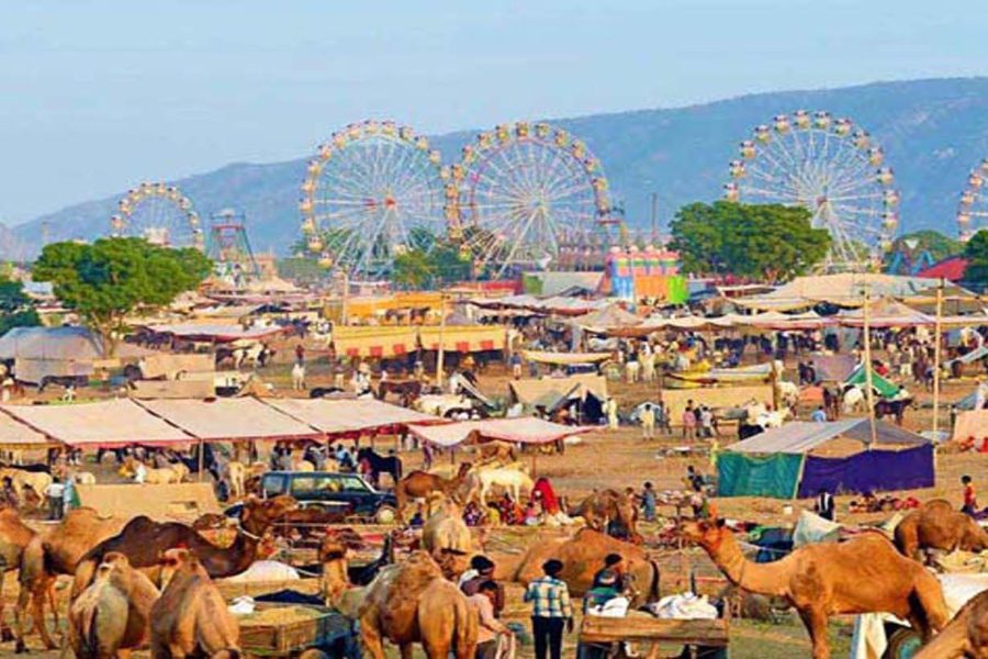 Pushkar Fair Tour – 6 Nights & 7 Days