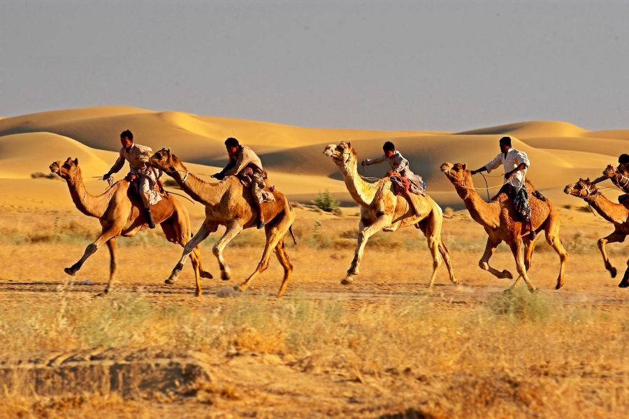 Rajasthan Camel Safari Tour – 16 Nights & 17 Days