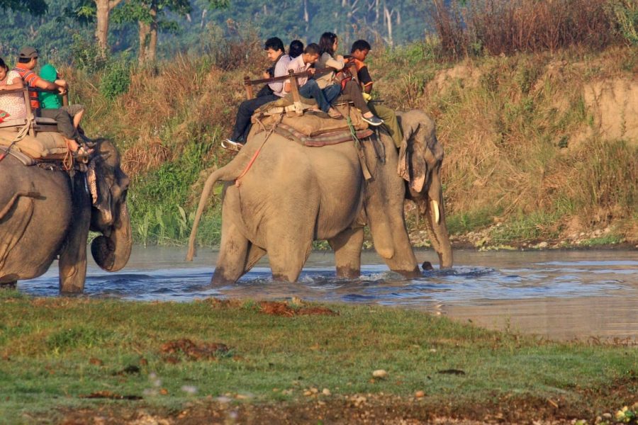 India Nepal Wildlife Tour – 14 Nights & 15 Days