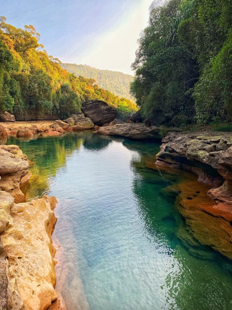 Rocks and Trees around Pond