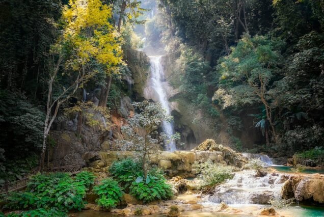 waterfalls and trees