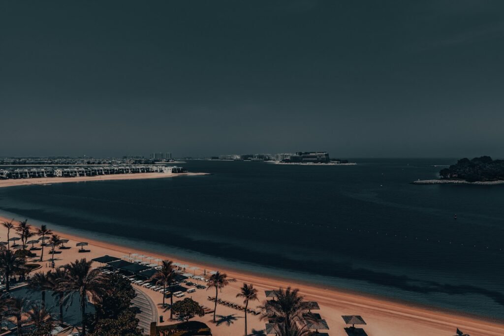 An aerial view of a beach and ocean at night