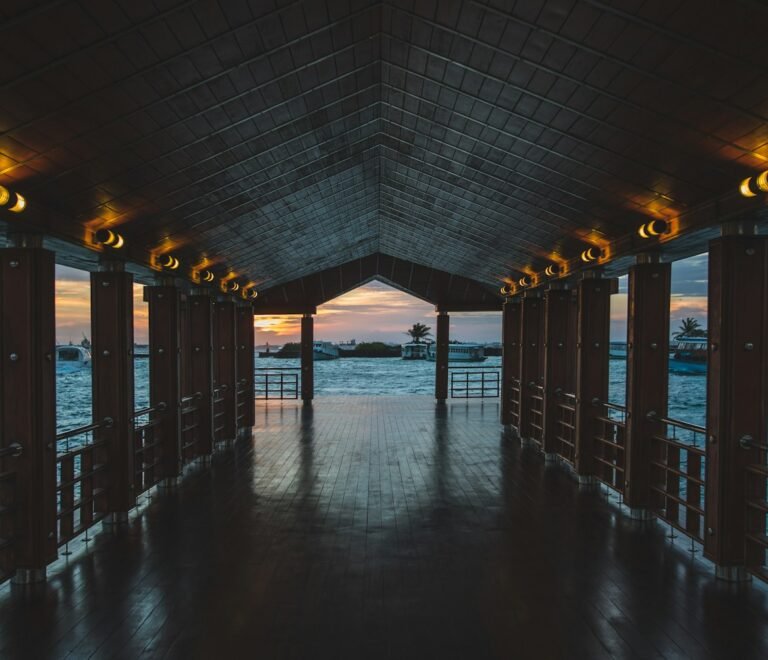 brown wooden dock