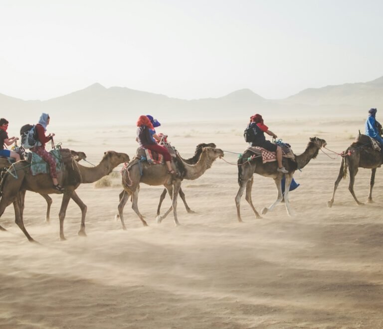 group of people riding camel on sand dune