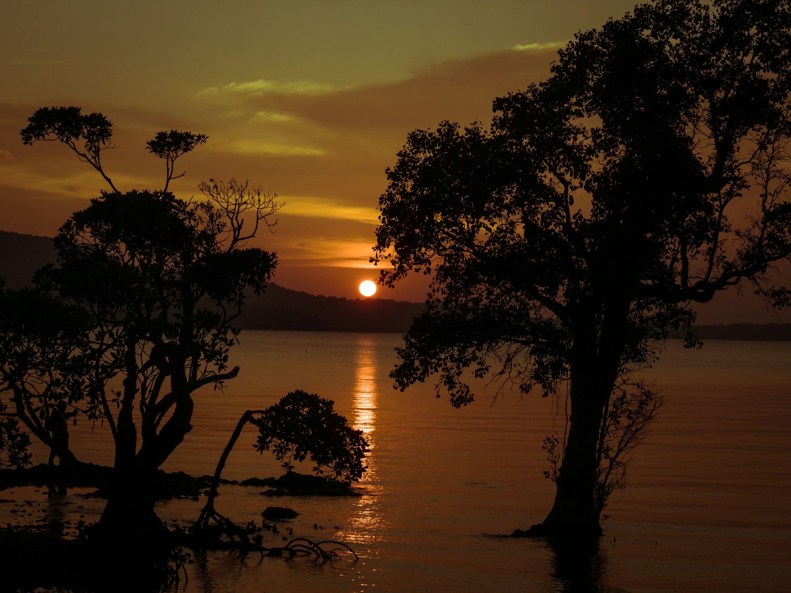 a sunset over a body of water with trees in the foreground