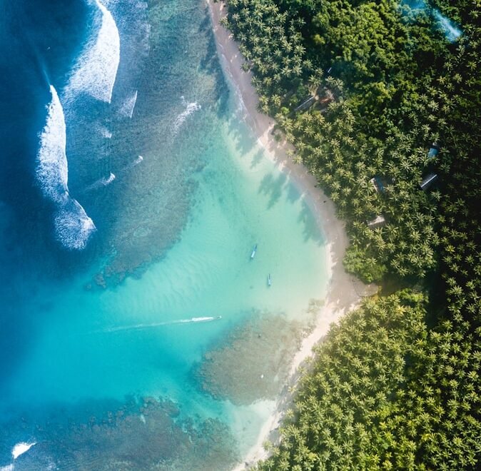 body of water near trees at daytime