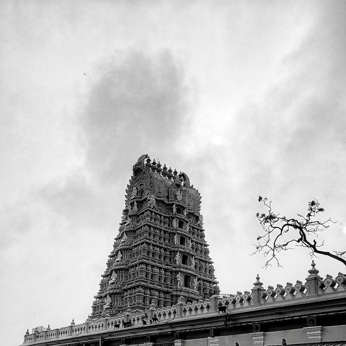 a black and white photo of a tall building